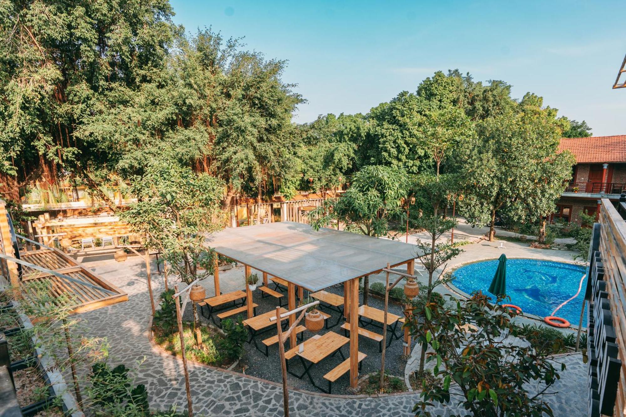 Tam Coc Lavender Homestay Ninh Binh Eksteriør bilde